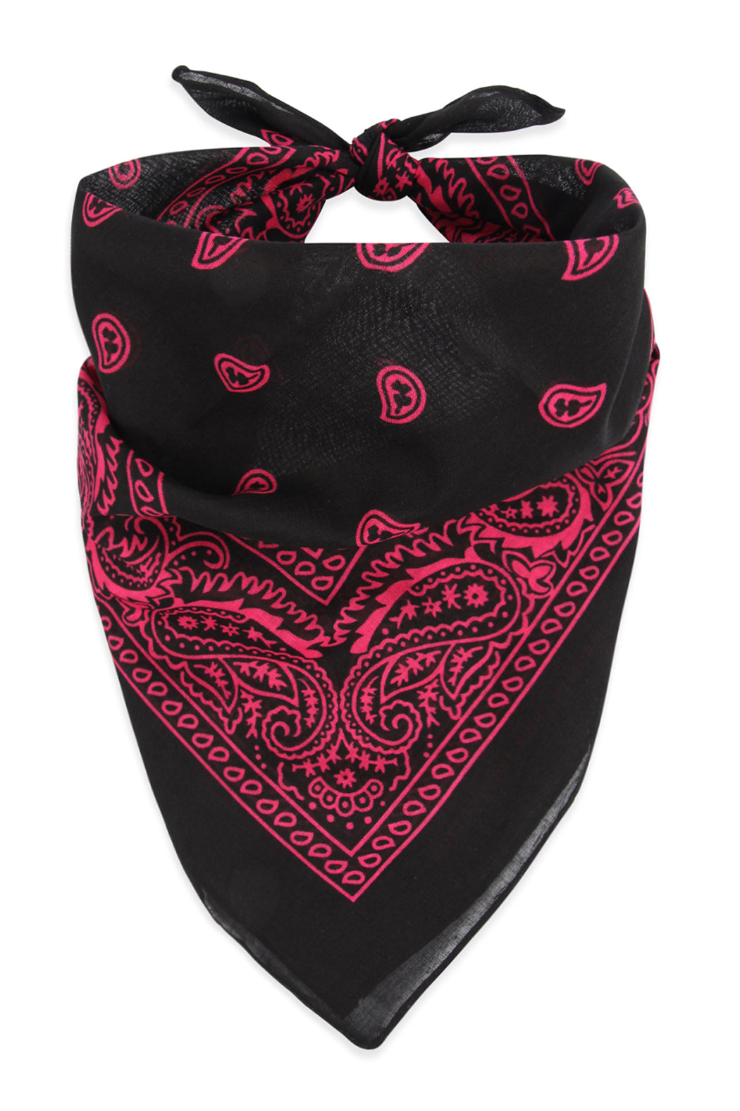 Paisley Print Bandana