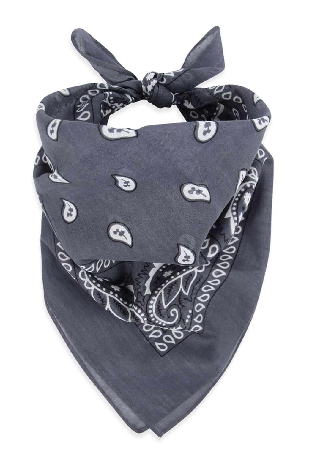 Paisley Print Bandana