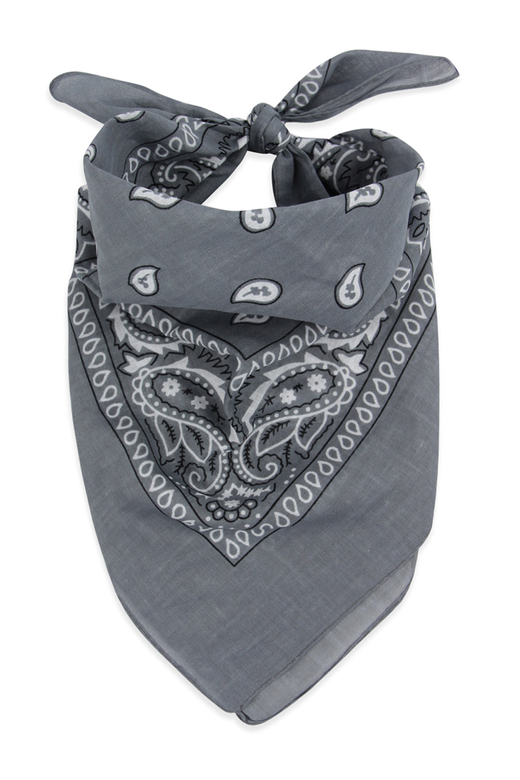 Paisley Print Bandana