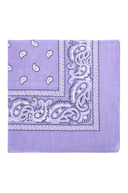 Paisley Print Bandana