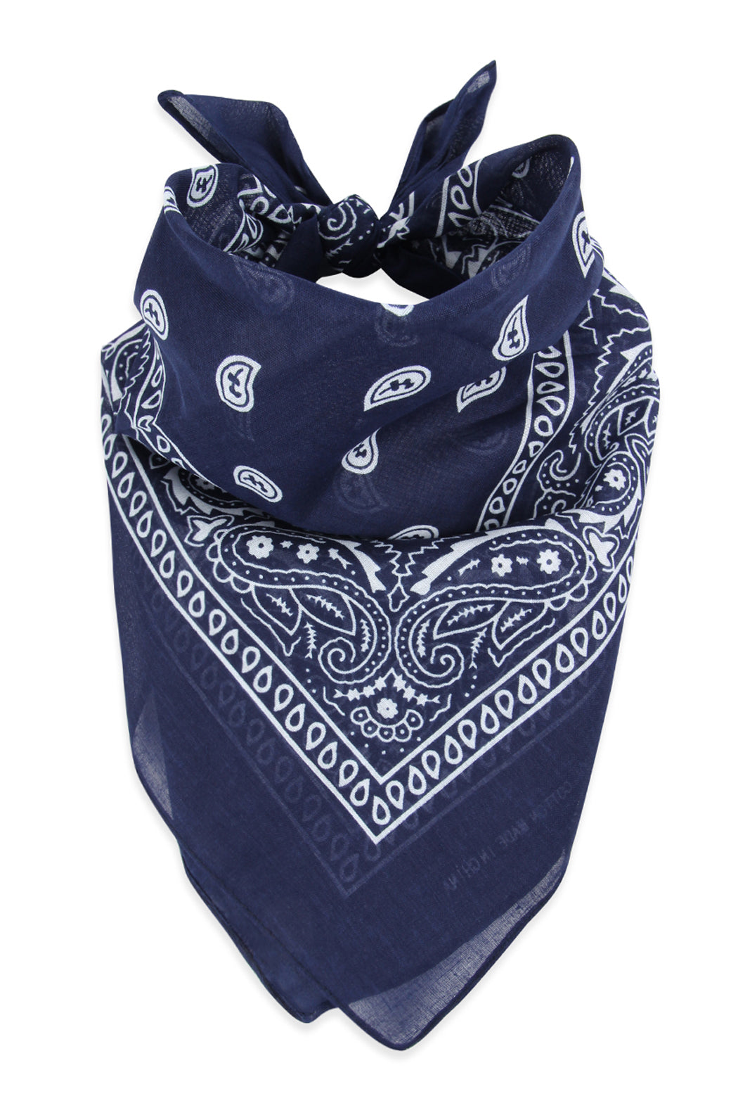 Paisley Print Bandana