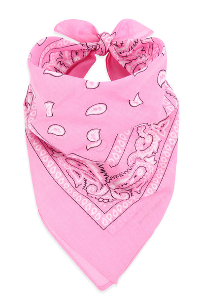 Paisley Print Bandana