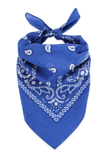 Paisley Print Bandana